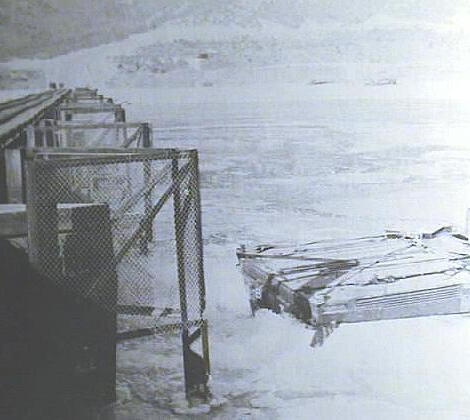 파일:1spoonbill ice flow.jpg