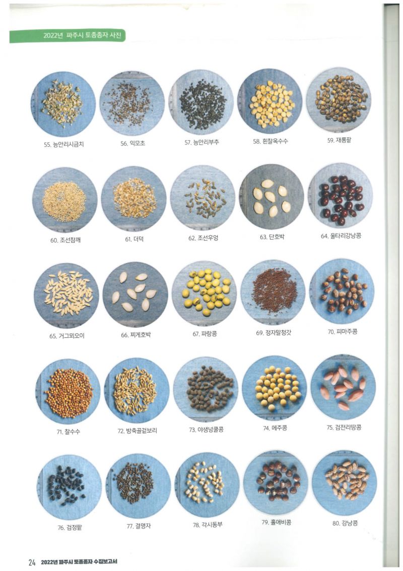 2022년파주종자 3.jpg