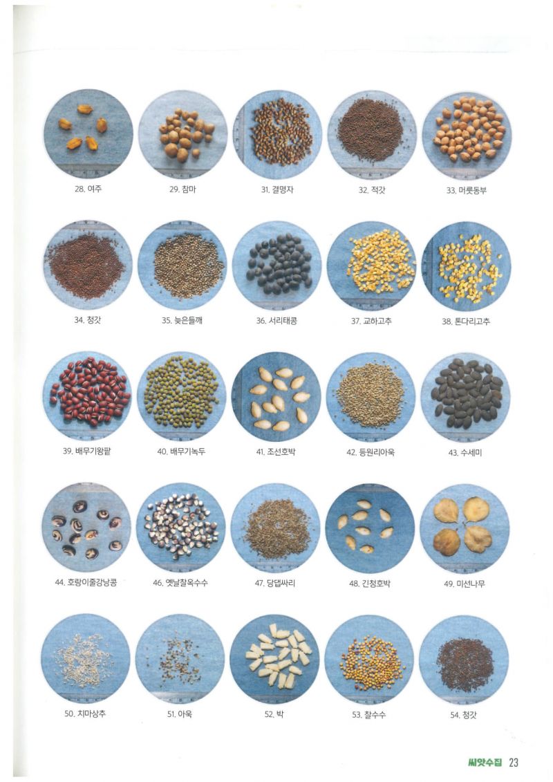 2022년파주종자 2.jpg