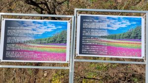 Aelyong20231108 003.jpg