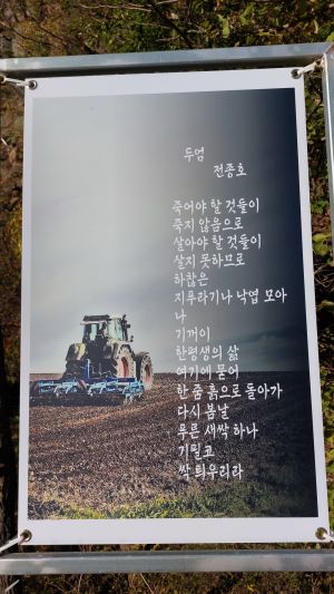 Aelyong20231108 018.jpg