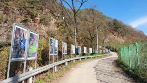 Aelyong20231108 001.jpg